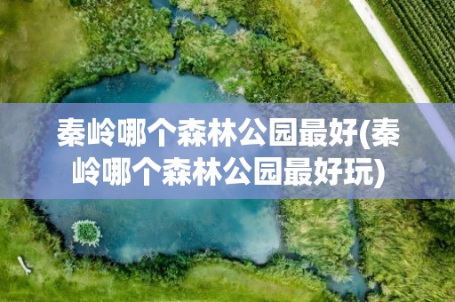 秦岭哪个森林公园最好(秦岭哪个森林公园最好玩)