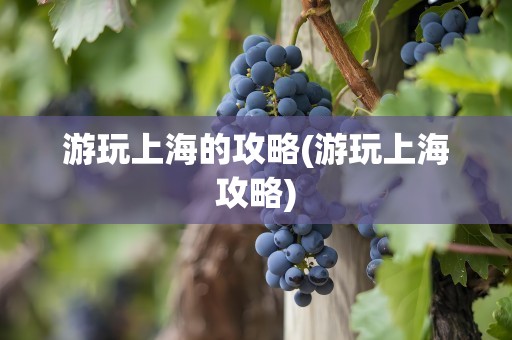 游玩上海的攻略(游玩上海攻略)