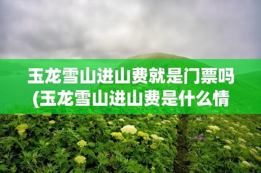 玉龙雪山进山费就是门票吗(玉龙雪山进山费是什么情况)