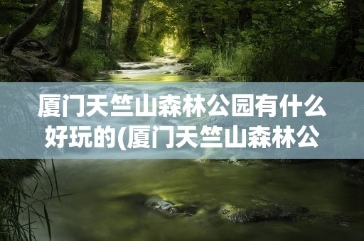 厦门天竺山森林公园有什么好玩的(厦门天竺山森林公园有什么好玩的吗)