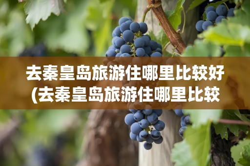 去秦皇岛旅游住哪里比较好(去秦皇岛旅游住哪里比较好一点)