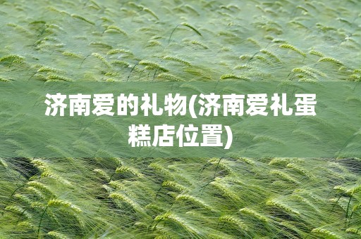 济南爱的礼物(济南爱礼蛋糕店位置)