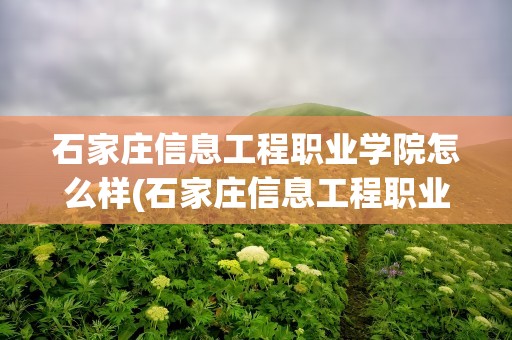 石家庄信息工程职业学院怎么样(石家庄信息工程职业学院怎么样口碑)