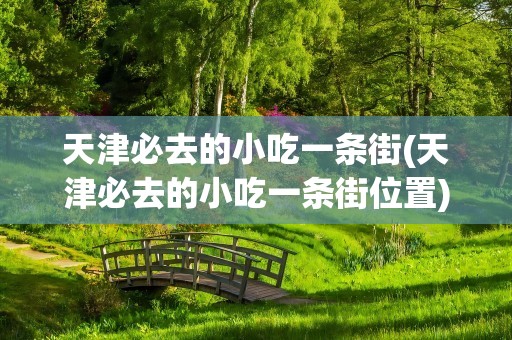 天津必去的小吃一条街(天津必去的小吃一条街位置)