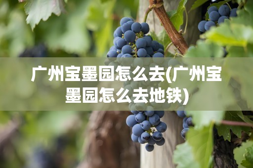 广州宝墨园怎么去(广州宝墨园怎么去地铁)