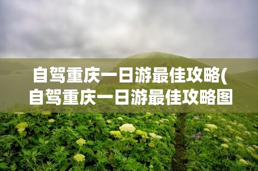 自驾重庆一日游最佳攻略(自驾重庆一日游最佳攻略图)