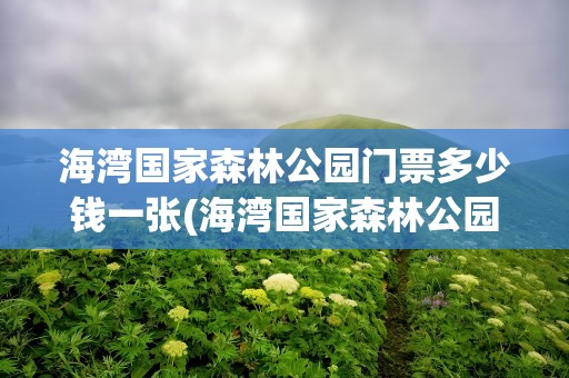 海湾国家森林公园门票多少钱一张(海湾国家森林公园门票多少钱一张啊)