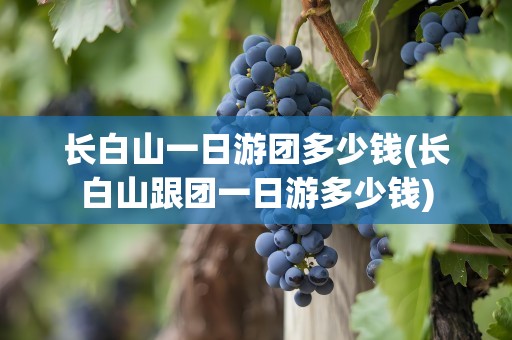 长白山一日游团多少钱(长白山跟团一日游多少钱)