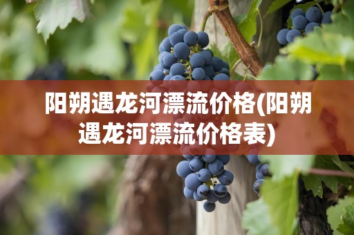 阳朔遇龙河漂流价格(阳朔遇龙河漂流价格表)