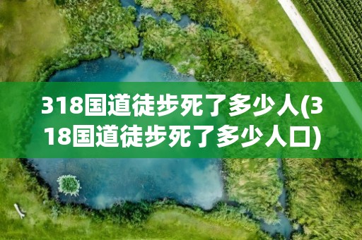 318国道徒步死了多少人(318国道徒步死了多少人口)