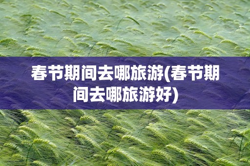 春节期间去哪旅游(春节期间去哪旅游好)