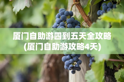 厦门自助游四到五天全攻略(厦门自助游攻略4天)