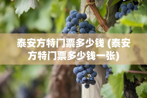 泰安方特门票多少钱 (泰安方特门票多少钱一张)