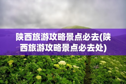 陕西旅游攻略景点必去(陕西旅游攻略景点必去处)