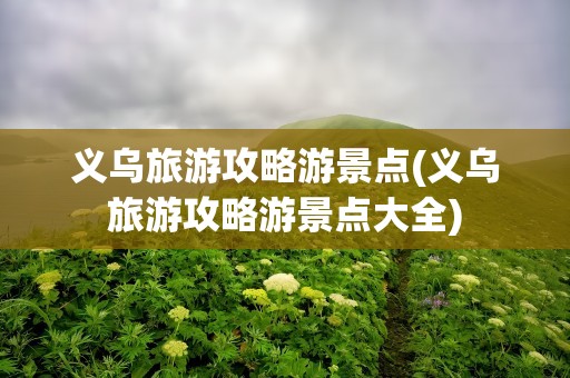 义乌旅游攻略游景点(义乌旅游攻略游景点大全)