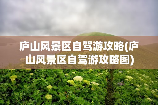 庐山风景区自驾游攻略(庐山风景区自驾游攻略图)