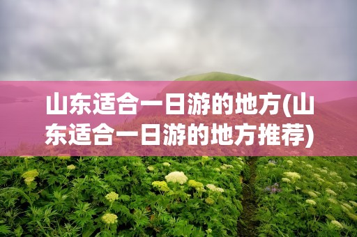 山东适合一日游的地方(山东适合一日游的地方推荐)