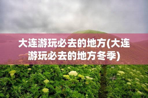 大连游玩必去的地方(大连游玩必去的地方冬季)