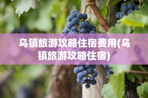 乌镇旅游攻略住宿费用(乌镇旅游攻略住宿)