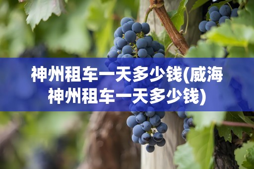 神州租车一天多少钱(威海神州租车一天多少钱)