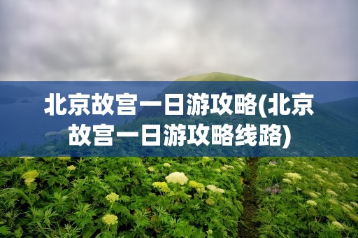 北京故宫一日游攻略(北京故宫一日游攻略线路)