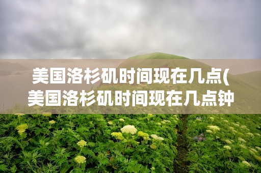 美国洛杉矶时间现在几点(美国洛杉矶时间现在几点钟)
