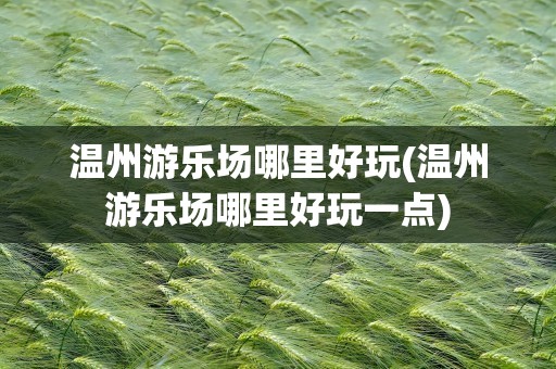 温州游乐场哪里好玩(温州游乐场哪里好玩一点)
