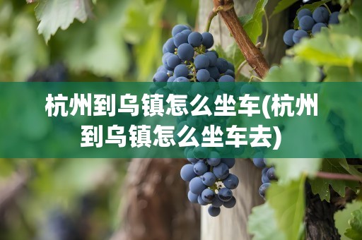 杭州到乌镇怎么坐车(杭州到乌镇怎么坐车去)