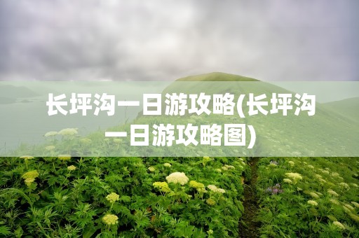 长坪沟一日游攻略(长坪沟一日游攻略图)