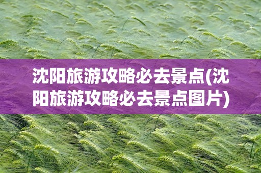 沈阳旅游攻略必去景点(沈阳旅游攻略必去景点图片)