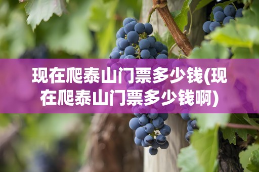 现在爬泰山门票多少钱(现在爬泰山门票多少钱啊)