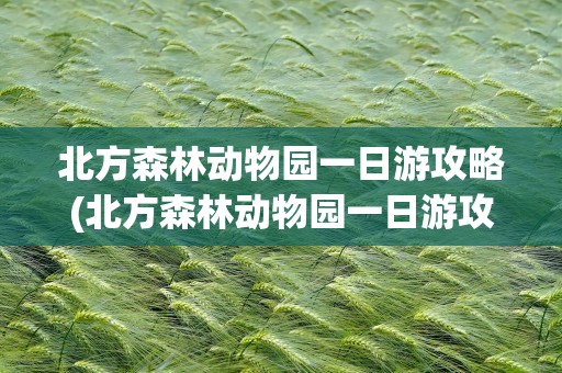 北方森林动物园一日游攻略(北方森林动物园一日游攻略图)