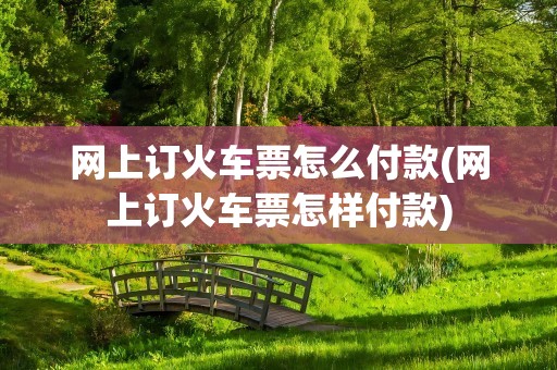 网上订火车票怎么付款(网上订火车票怎样付款)