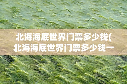 北海海底世界门票多少钱(北海海底世界门票多少钱一张)