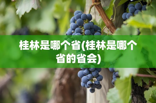 桂林是哪个省(桂林是哪个省的省会)