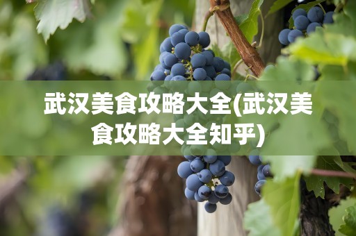 武汉美食攻略大全(武汉美食攻略大全知乎)