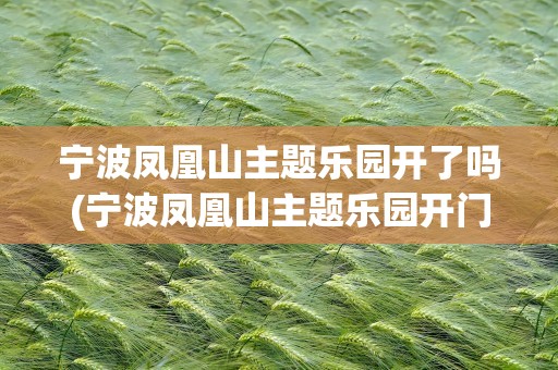 宁波凤凰山主题乐园开了吗(宁波凤凰山主题乐园开门了吗)