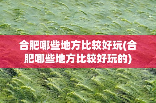 合肥哪些地方比较好玩(合肥哪些地方比较好玩的)