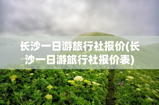 长沙一日游旅行社报价(长沙一日游旅行社报价表)