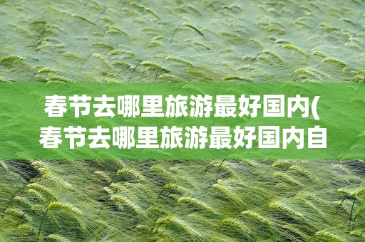春节去哪里旅游最好国内(春节去哪里旅游最好国内自驾)