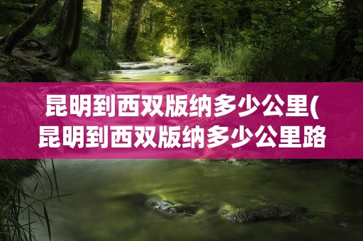 昆明到西双版纳多少公里(昆明到西双版纳多少公里路)