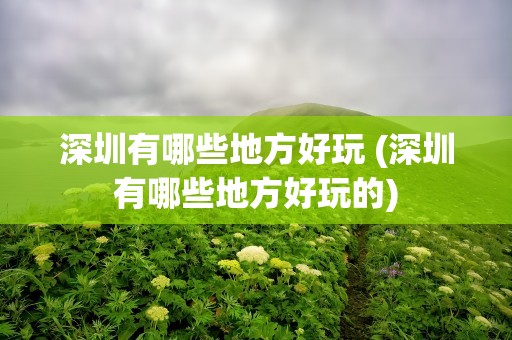 深圳有哪些地方好玩 (深圳有哪些地方好玩的)