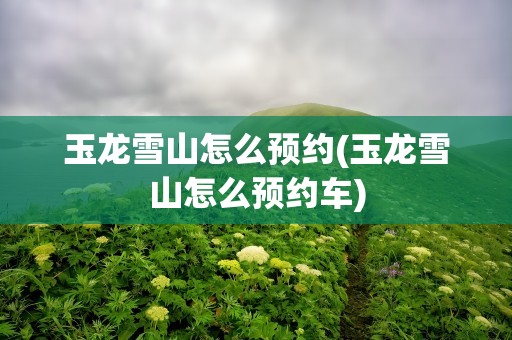 玉龙雪山怎么预约(玉龙雪山怎么预约车)