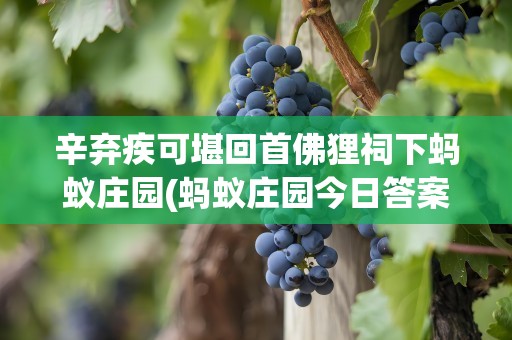 辛弃疾可堪回首佛狸祠下蚂蚁庄园(蚂蚁庄园今日答案以下选项中哪个是成语)