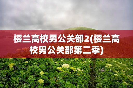 樱兰高校男公关部2(樱兰高校男公关部第二季)