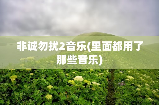 非诚勿扰2音乐(里面都用了那些音乐)