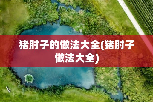 猪肘子的做法大全(猪肘子做法大全)