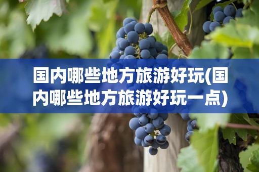 国内哪些地方旅游好玩(国内哪些地方旅游好玩一点)