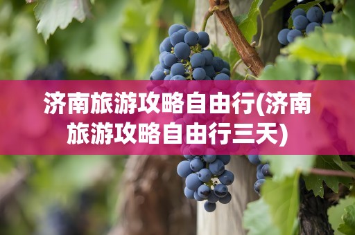 济南旅游攻略自由行(济南旅游攻略自由行三天)