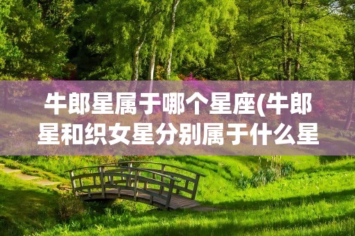 牛郎星属于哪个星座(牛郎星和织女星分别属于什么星座)